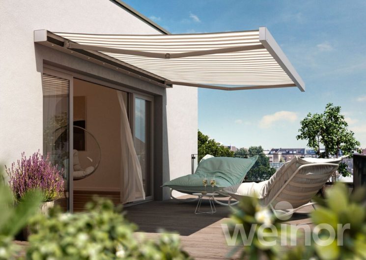 MSM1A0001B_2305_WZB (Groot)